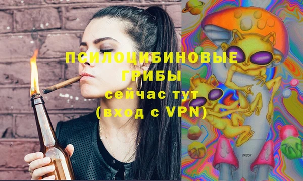 ГАЛЛЮЦИНОГЕННЫЕ ГРИБЫ Беломорск