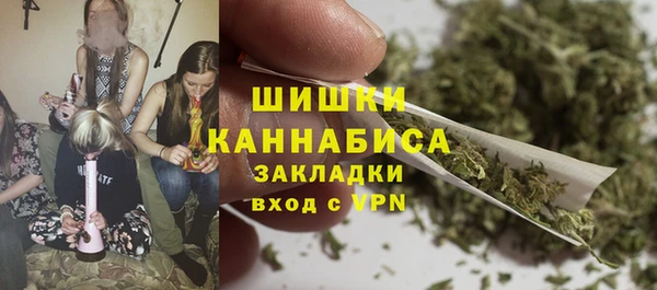 эйфоретик Белокуриха