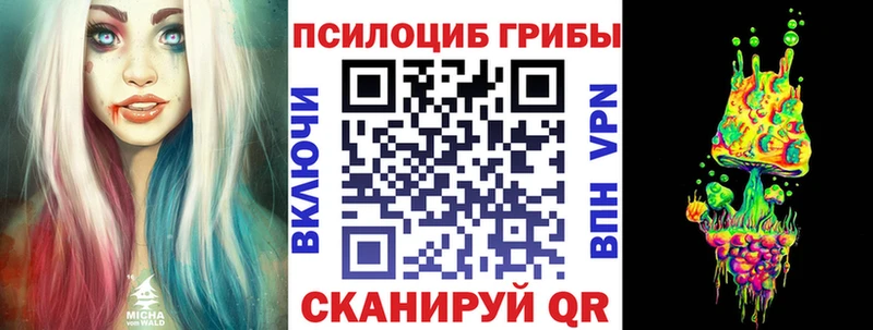 Купить закладки  Любань  Галлюциногенные грибы Psilocybe 